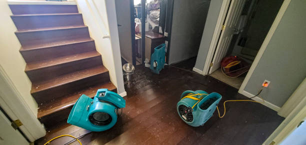 Best Professional water damage repair  in El Granada, CA