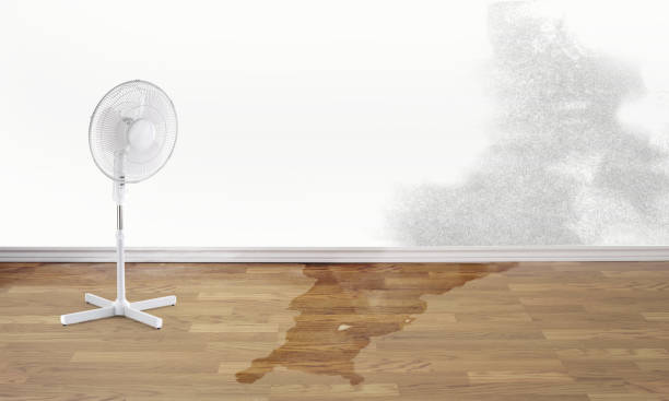 Best Local water damage restoration  in El Granada, CA
