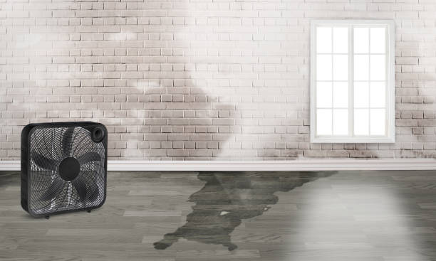 Best Ceiling water damage repair  in El Granada, CA