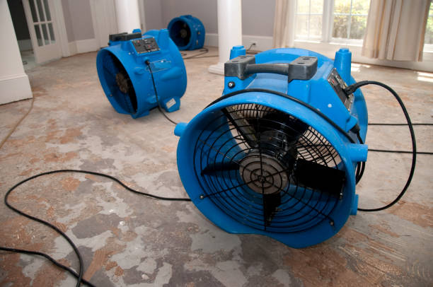 Best Flooded house restoration  in El Granada, CA