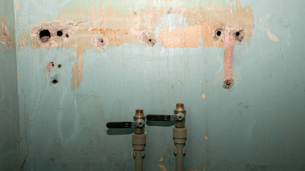 Best Flood damage cleanup  in El Granada, CA