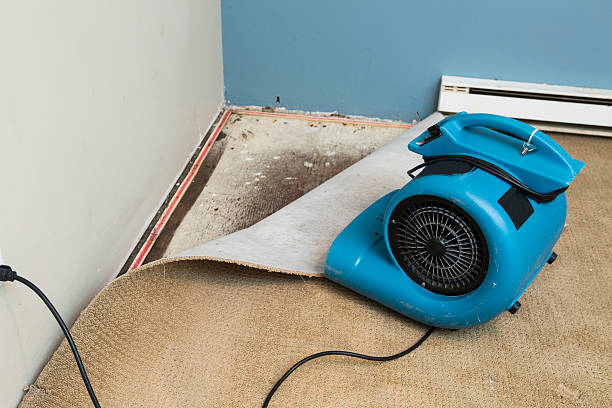 Best 24/7 water damage repair  in El Granada, CA